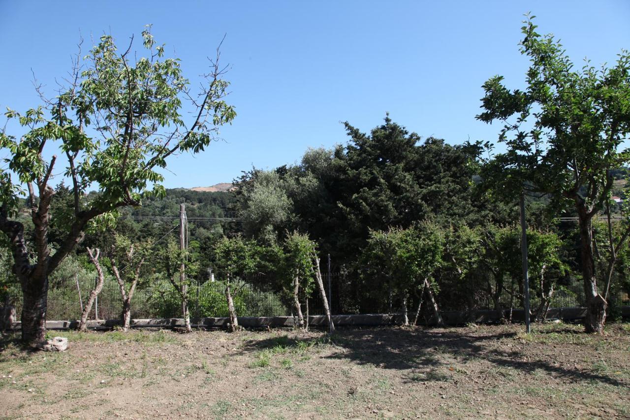 Villa Hellenick House Agios Ioannis  Esterno foto