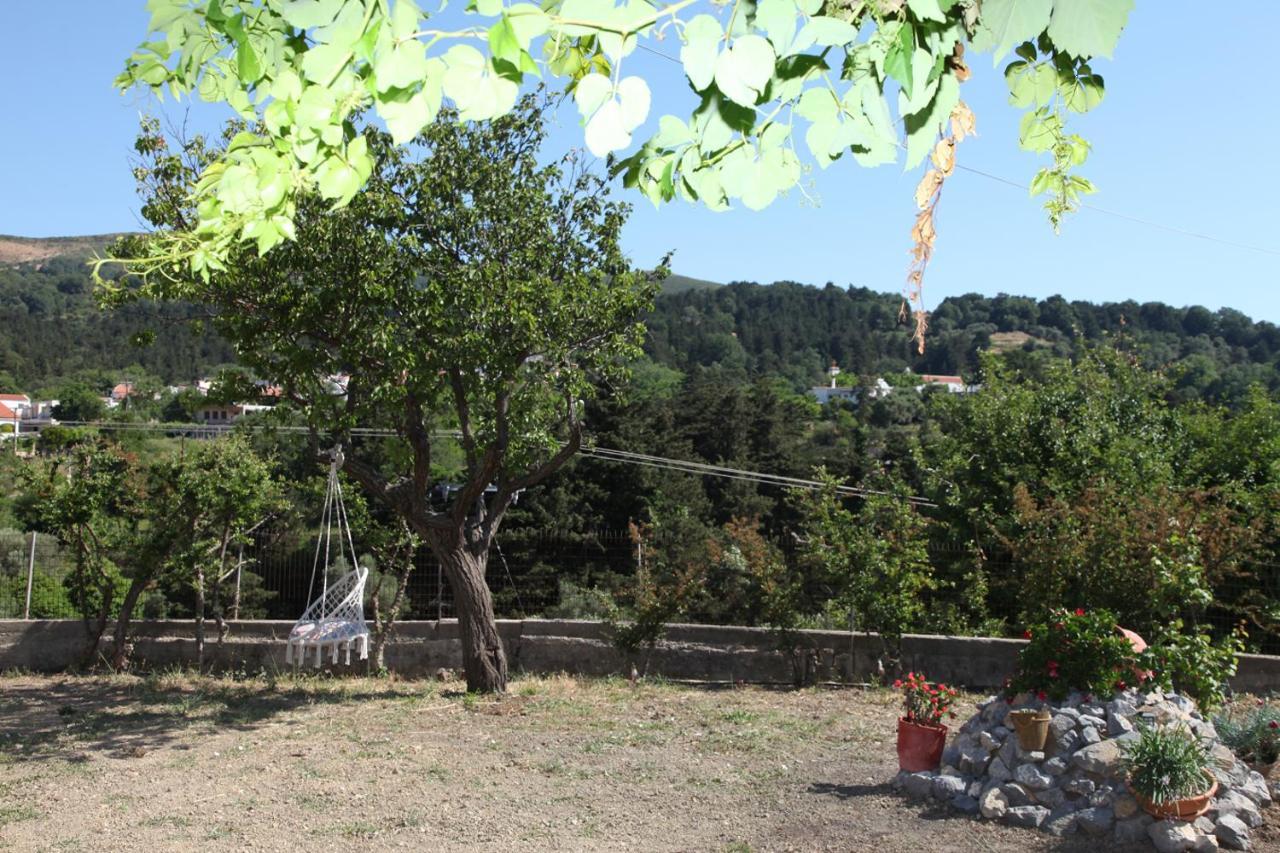 Villa Hellenick House Agios Ioannis  Esterno foto