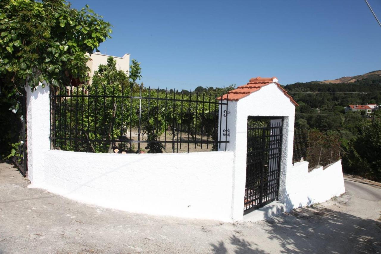 Villa Hellenick House Agios Ioannis  Esterno foto